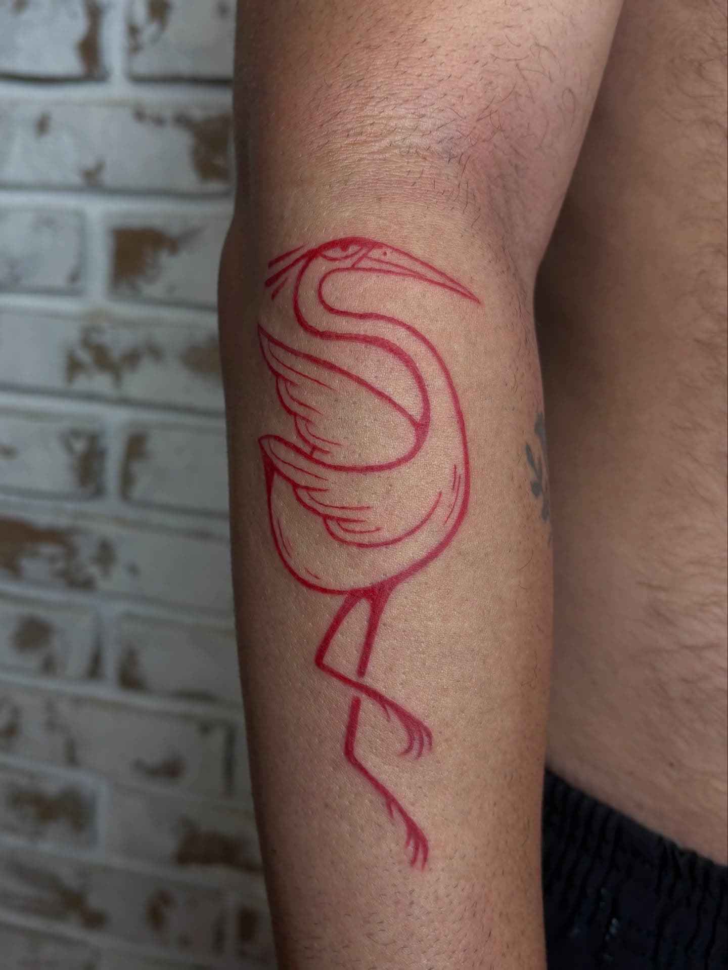 Tatuagem por Luiza Samico